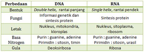 substansi genetik dna dan rna mempunyai kesamaan yaitu  Substansi genetik DNA dan RNA mempunyai kesamaan, yaitu