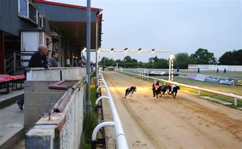 suffolk downs greyhounds website Owners of Suffolk Downs and Raynham Park will have the state’s only brick-and-mortar locations for sports betting outside the three casinos