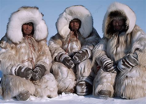 suku eskimo berasal dari Suku Baduy adalah penduduk asli yang hidup di Pegunungan Kendeng, Desa Kanekes, Kecamatan Leuwidamar, Kabupaten Lebak, Provinsi Banten