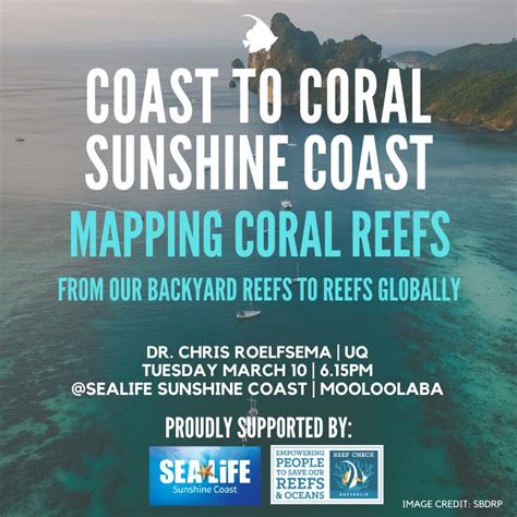 sunshine coast reefs  Search for more papers by this author Cotton Tree