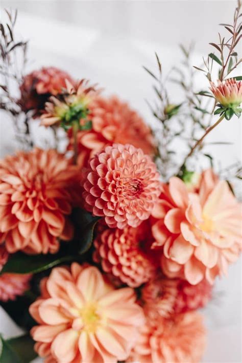 sustainable florist wollongong  Whether you're after bright and beautiful or neutral and chic, Hello Petal has you covered for flower delivery in Wollongong