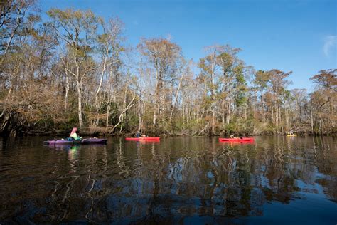 swamp tours myrtle beach  per adult