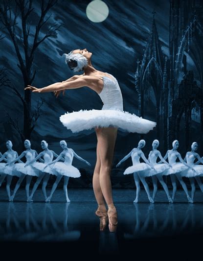 swan lake artscape What theaters are located in South Africa including theatres, cabarets, school theater & more