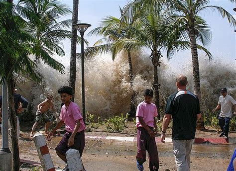 tami tsunami mmf Tsunami deposits identified in a coastal mangrove pond in Northwest Puerto Rico could have come from a megathrust earthquake at the Puerto Rico Trench that occurred between 1470 and 1530