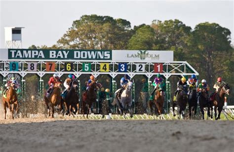 tampa downs racetrack Welcome to Equibase