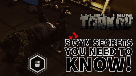 tarkov gym macro 3 This is such a stupid way to nerf the gym that it actually boggles my mind how anyone could've thought this was a good idea