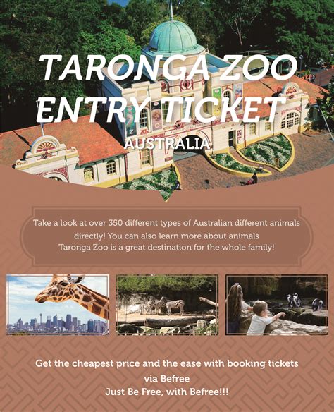 taronga zoo tickets groupon nsw