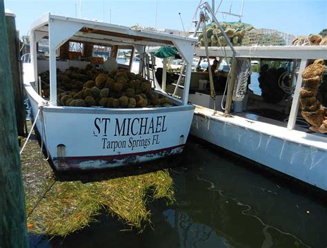 tarpon springs sponge docks boat tours Whether you’re looking to do some sightseeing, like the Anclote Island and Lighthouse, fishing, shelling, dolphin watching, or eco-tours, you can find all of that at or near the Tarpon Springs Sponge Docks