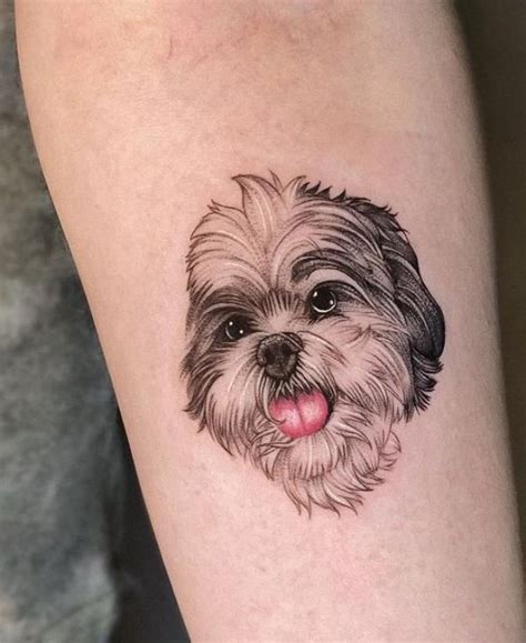 tatuagens shitzu  See more ideas about shih tzu, shih tzu dog, shih tzu puppy