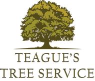 teague's tree service san antonio  Angi’s
