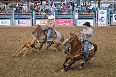 team roping draw software The plan is the most important aspect of Thorp’s mental preparations