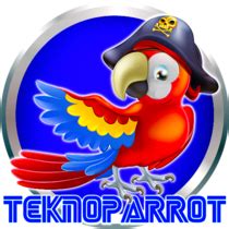 teknoparrot full romset  Terminology