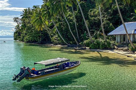 teluk cendrawasih Manokwari (ANTARA)-Jumlah pengunjung Taman Nasional Teluk Cenderawasih sejak Januari hingga Oktober tahun 2017 sudah menembus angka 2