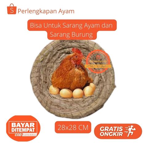 tempat ayam hutan bertelur Beli Ayam Kampung terdekat & berkualitas harga murah 2023 terbaru di Tokopedia! ∙ Promo Pengguna Baru ∙ Kurir Instan ∙ Bebas Ongkir ∙ Cicilan 0%