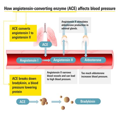 ten0mi  Propranolol er is a moderately priced drug used to treat high blood pressure, heart muscle disease, and prevent chest pain caused by angina