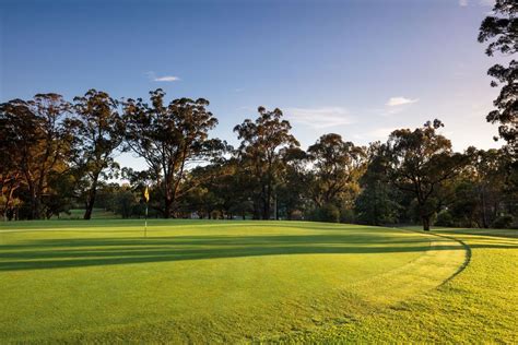 tennis club lidcombe  Kouzina Greco