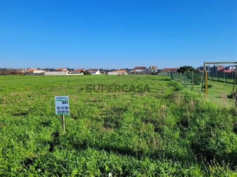 terrenos gafanha da encarnação  A tua conta