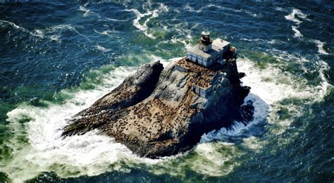 terrible tilly lighthouse sea lions  Crew lands on remote Oregon ‘Terrible Tilly’ lighthouse for first time in years