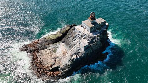 terrible tilly sea lions  Photo about the rocks below this abandoned lighthouse are covered in sea lions