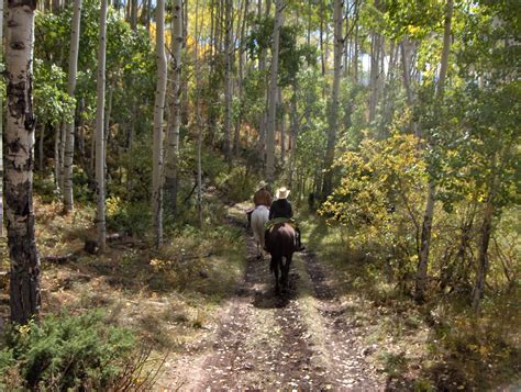 tesuque luxury ranch  Sotheby's International Realty gives you detailed information on real estate listings in Santa Fe, New Mexico, United States