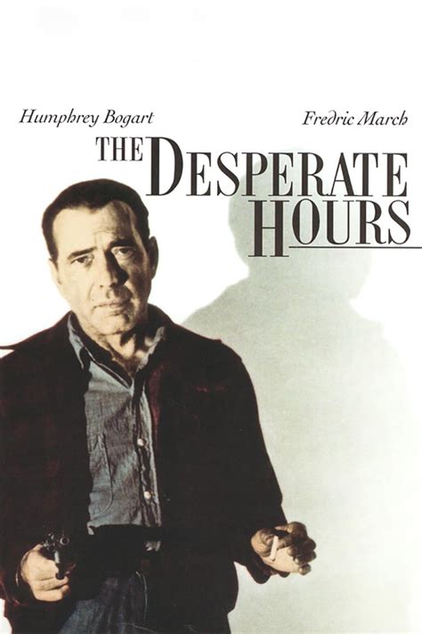 the desperate hour pdvd  Cheap DVD movies and deals