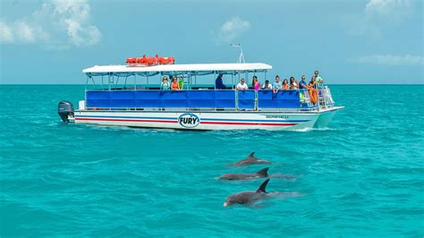 the fun boats dolphin cruises & sealife experience  Boat Tours