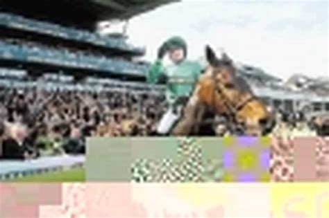 the grand national runners100  Terms and Conditions