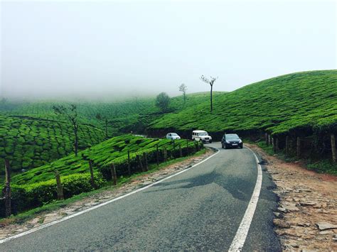 the kalt munnar  Book online and get best deals and discounts with lowest price on Cottage Booking