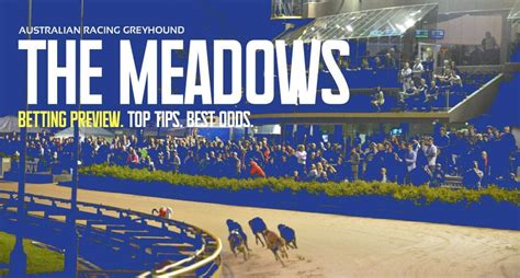 the meadows greyhounds results  Penny's Princess was quick to begin