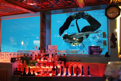 the mermaid bar  “From the sea to the table” is how we like to put it