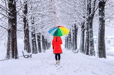 the weather network simcoe  The federal