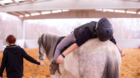 therapeutisches reiten kostenübernahme aok  Teil 1: 22