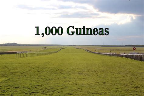 thousand guineas prize money  The prize money for the 25 race days is approximately Rs