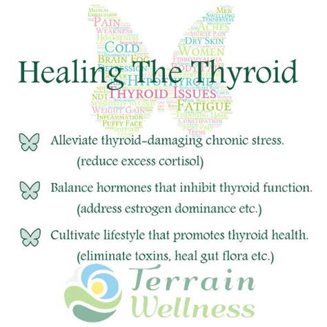 thyroid specialist portland oregon Oregon Natural Medicine’s thyroid hormone replacement therapy can help return your body’s levels of the hormones to those required for optimal functioning