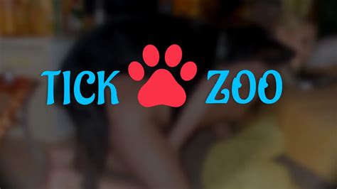 tickzoo hd  HD 11:33