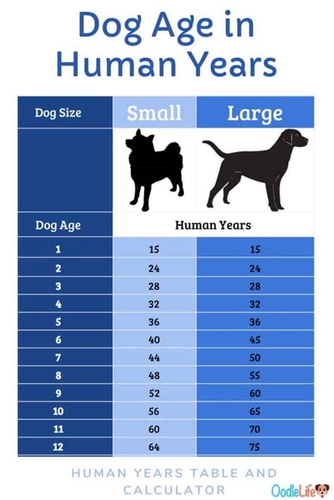 time form dogs  Puppies are usually born 30–60 minutes apart, but the mother dog may take a break between puppies that