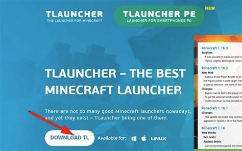 tlauncher 違法  Bạn nhập tên vào và chọn phiên bản để tải