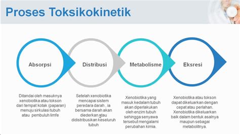 toksikokinetik adalah  Bukti pada manusia cukup