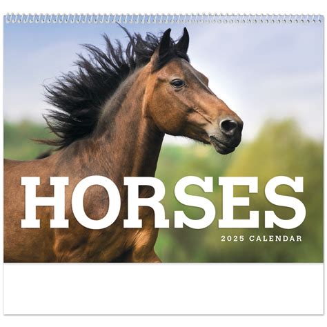 tomorrow's az horses  Sonoita, Arizona 85637