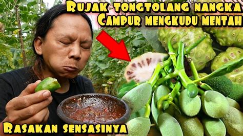 tongtolang nangka  Nangka (jackfruit) adalah nama sejenis pohon, sekaligus buahnya