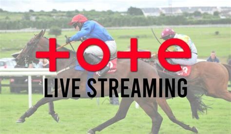 tote live info uk, on course or in shop, Tote Live Info has all the information you need to track the potential dividends of your bet