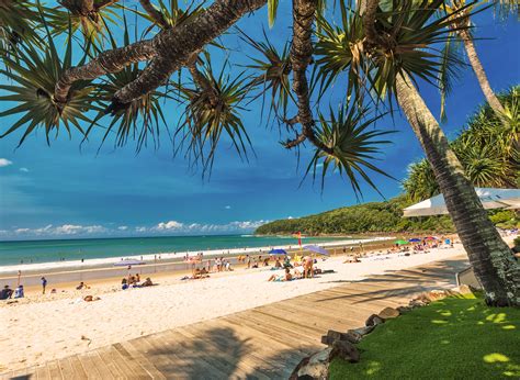 transfer from sunshine coast airport to noosa heads  0