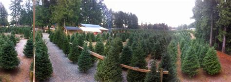 tree farm langley  Giesbrecht's Tree Farm, Langley, British Columbia