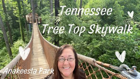 treetop skywalk at anakeesta photos 