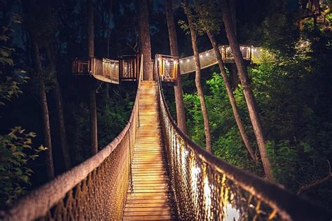 treetop skywalk at anakeesta reviews  Perched up on The Great Smoky Mountain, the Gatlinburg Treetop Skywalk isn't your typical tourist trap