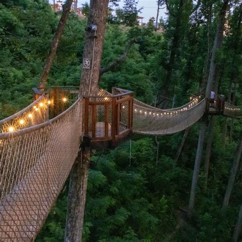 treetop skywalk gatlinburg tn  What most amazing fact is it’s the longest tree-based bridge in North America