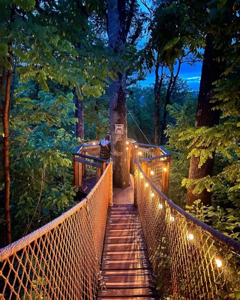 treetop skywalk gatlinburg tn The SkyWalk bridge gives you breathtaking views of the smoky mountains in Tennessee