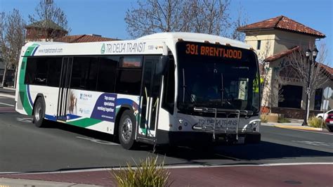 tri delta transit 391 com - The First Stop For Public Transit