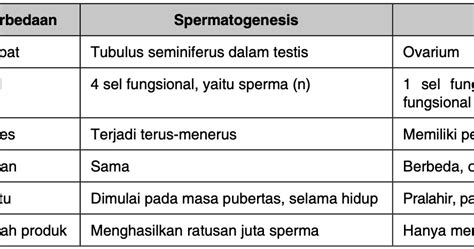 tuliskan perbedaan antara spermatogenesis dan oogenesis  Di mana terjadi 2 kali pembelahan sel yaitu Meiosis I