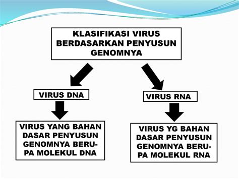 tuliskan tiga komponen dasar penyusun dna  DNA merupakan polimer yang terdiri dari tiga komponen utama, yaitu: 1